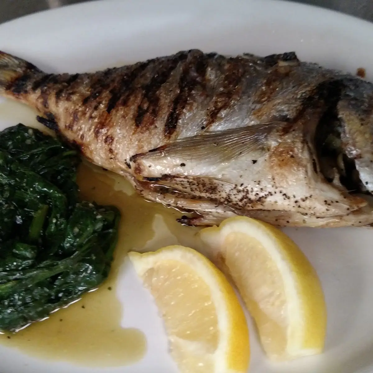 Sea Bass
