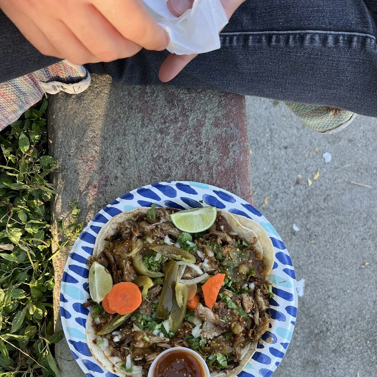 4 Carnitas Tacos