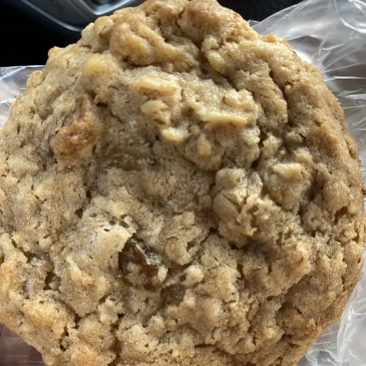 Oatmeal Raisin