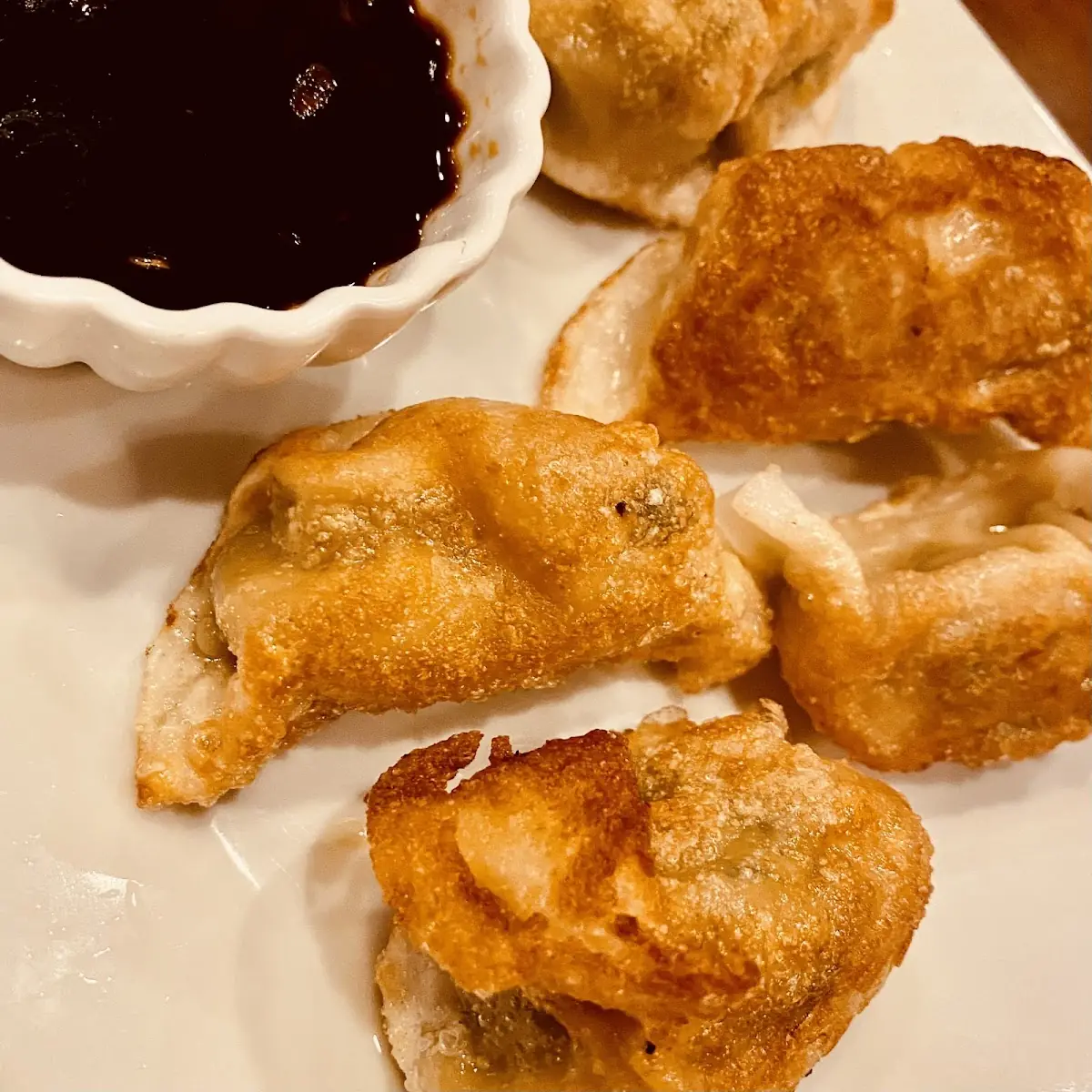 Pan-Fried Dumplings