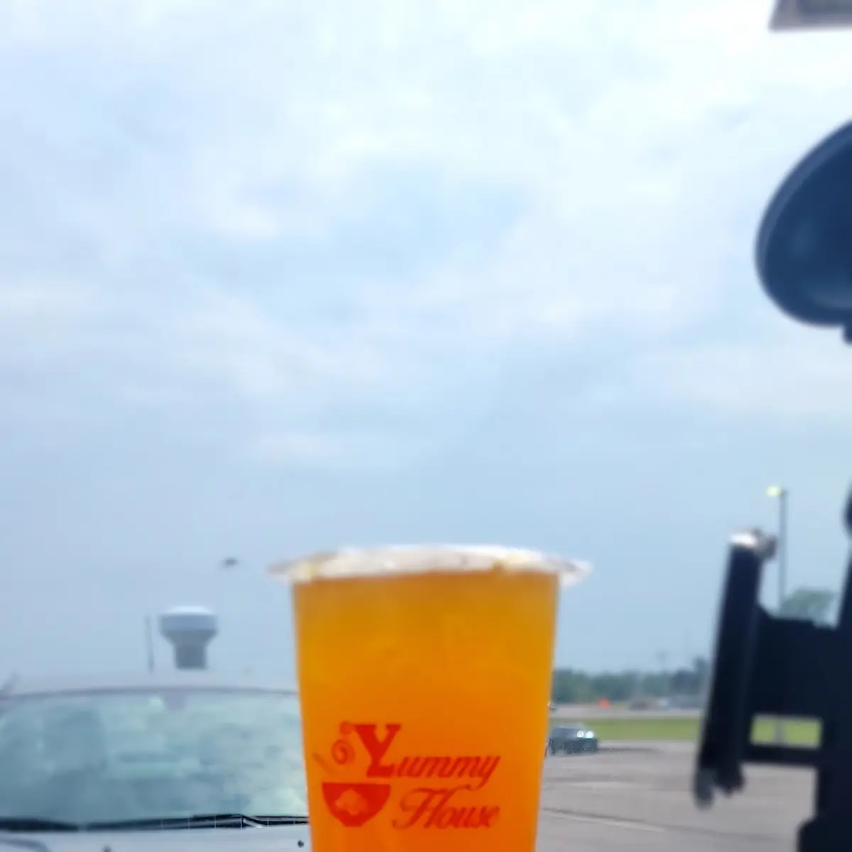 Passion Fruit Lychee Juice