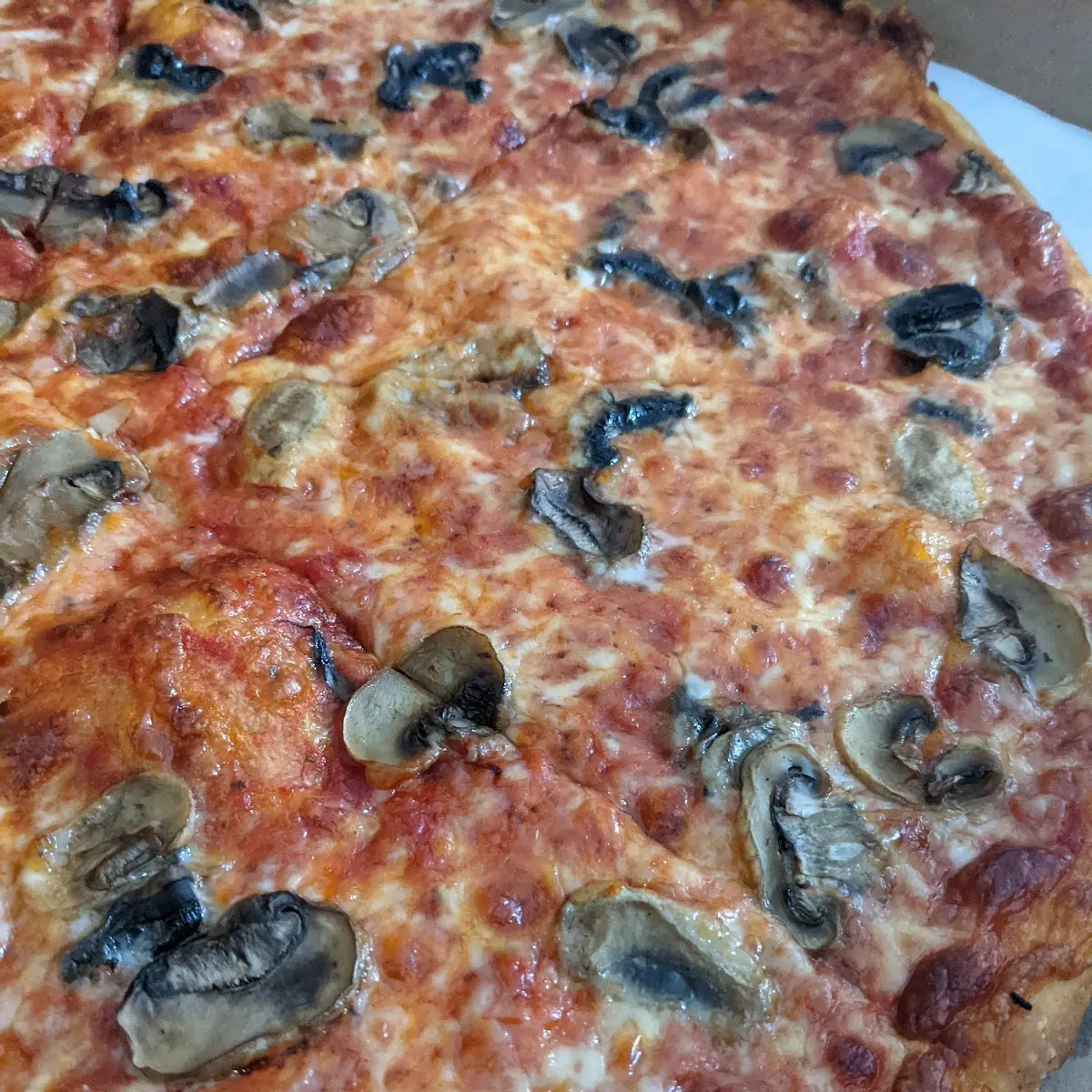 Mushroom Pizza