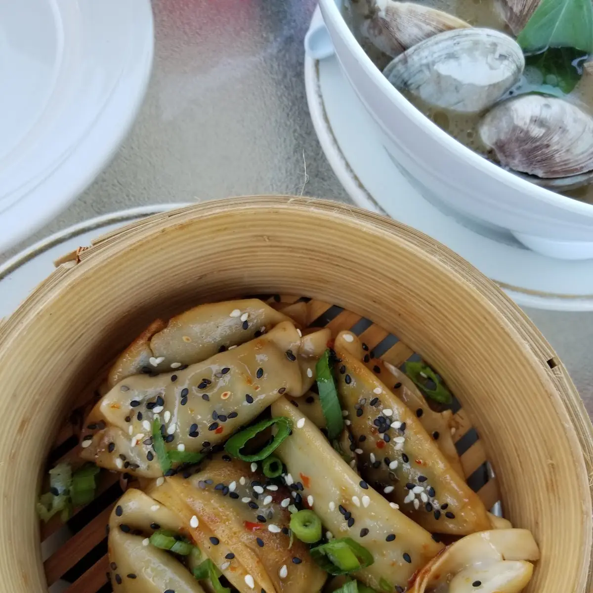 Duck Dumplings
