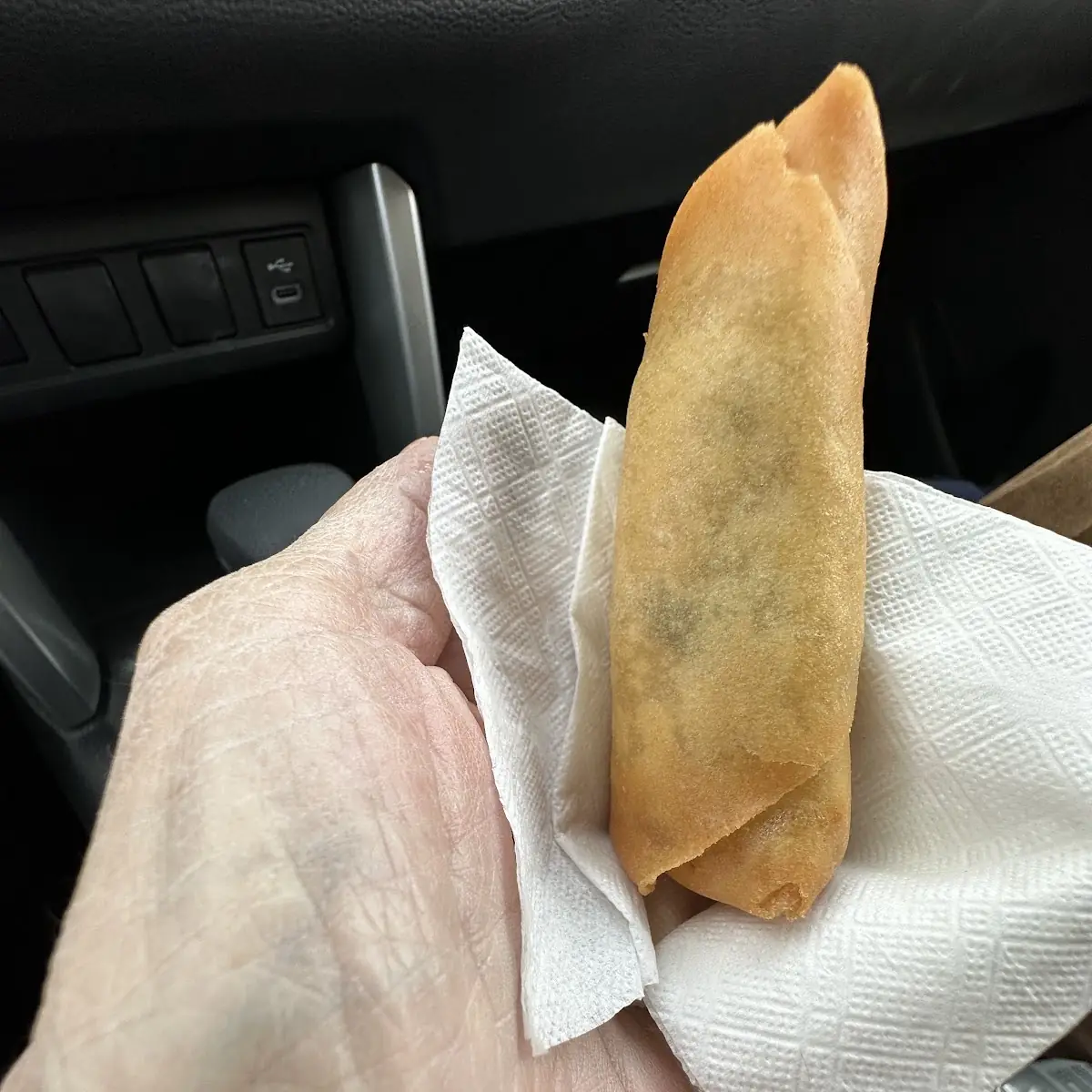 Spring Roll