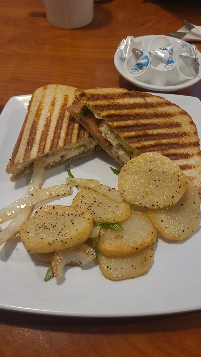 Chicken Pesto Panini