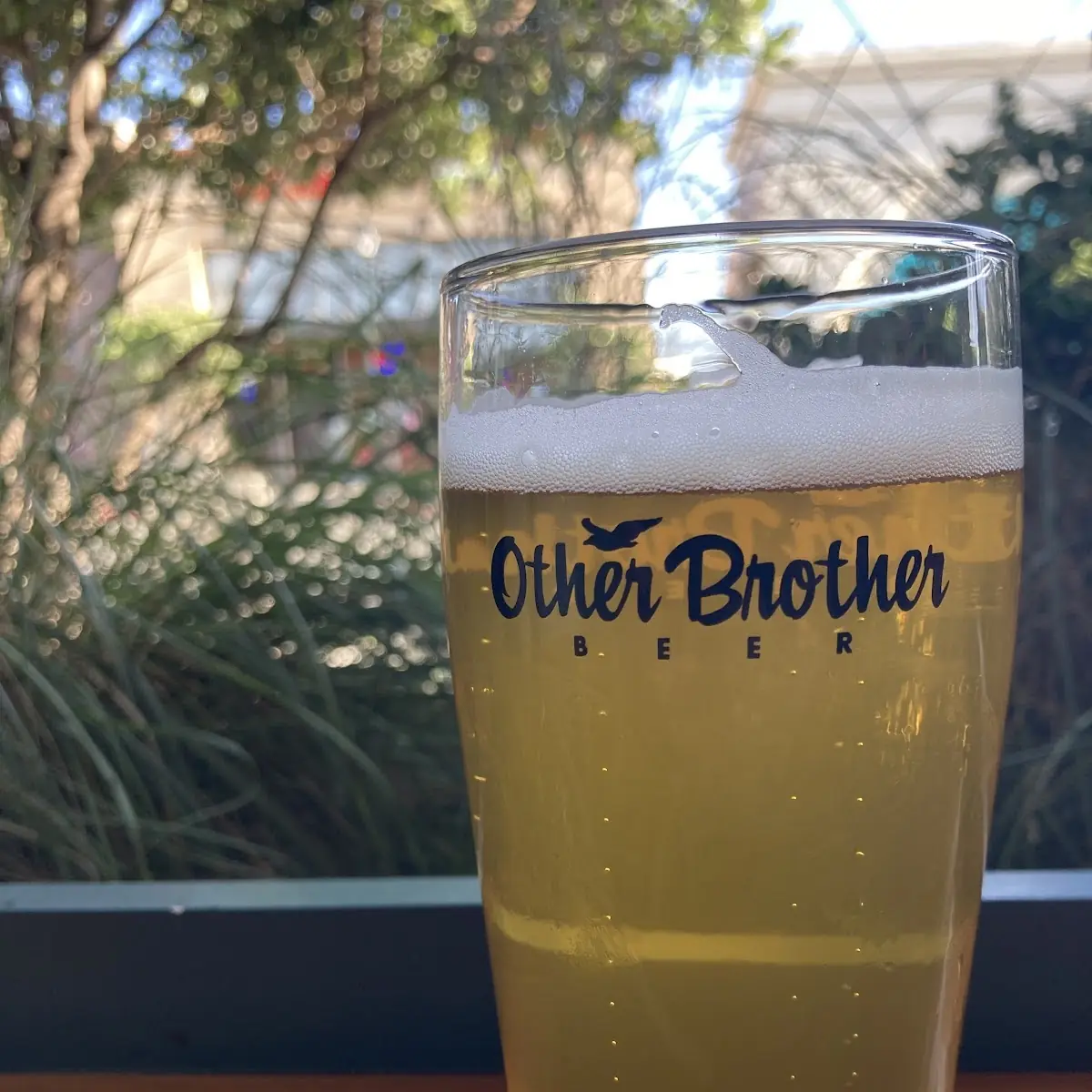Amber Craft Beer