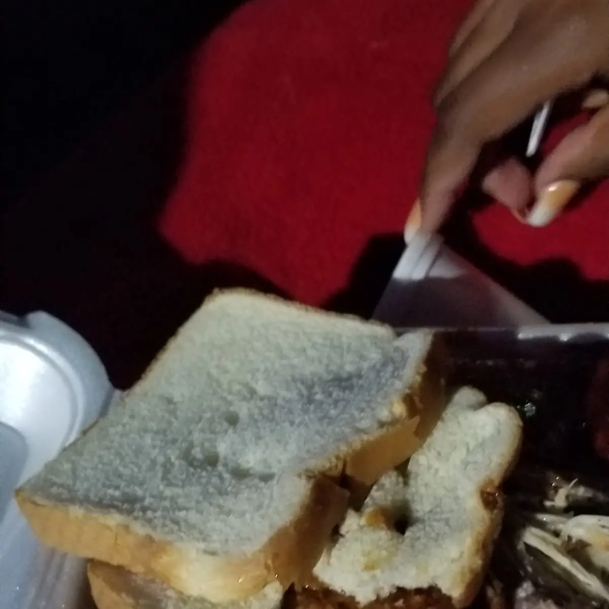 BBQ Chicken with Bread