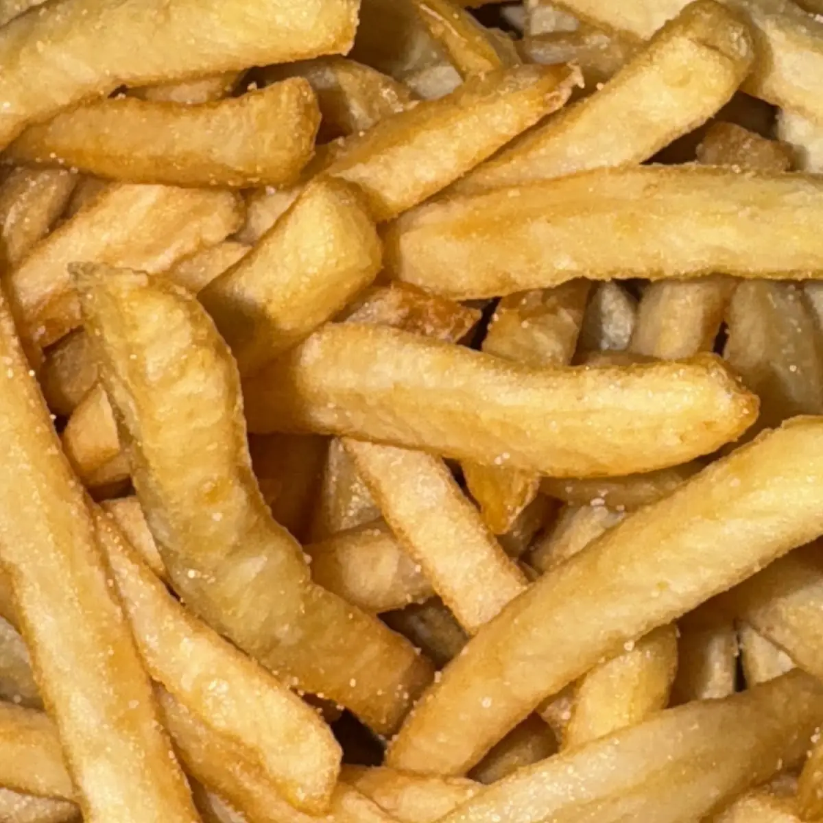 World Famous Fries