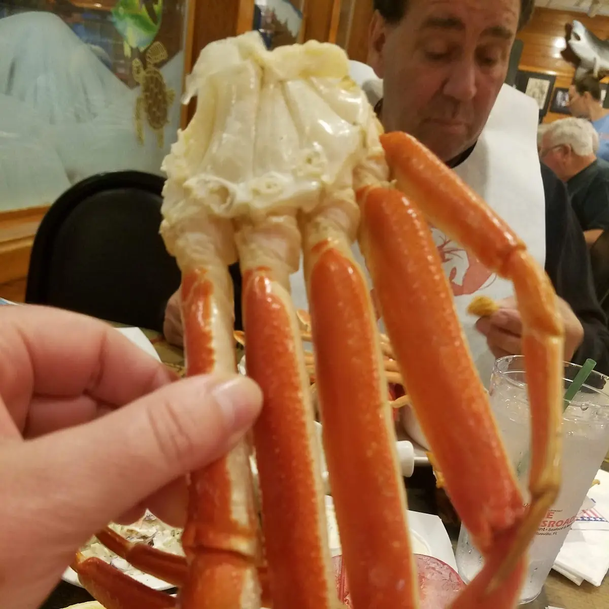 Snow Crab