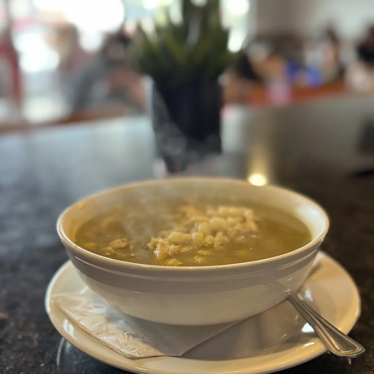 Chicken Soup