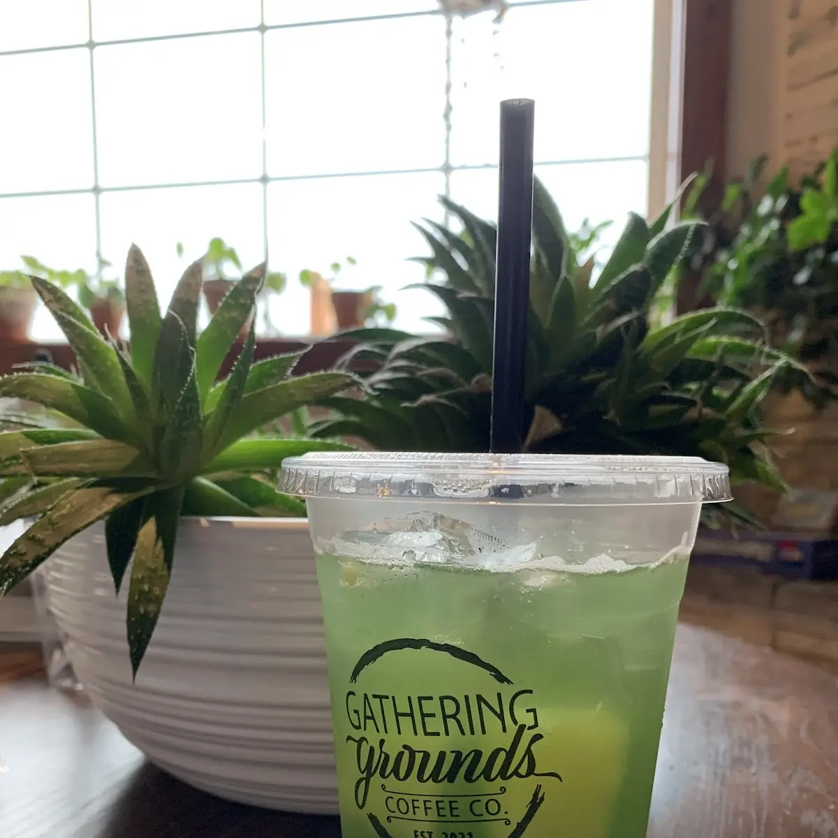 Green Apple Lotus