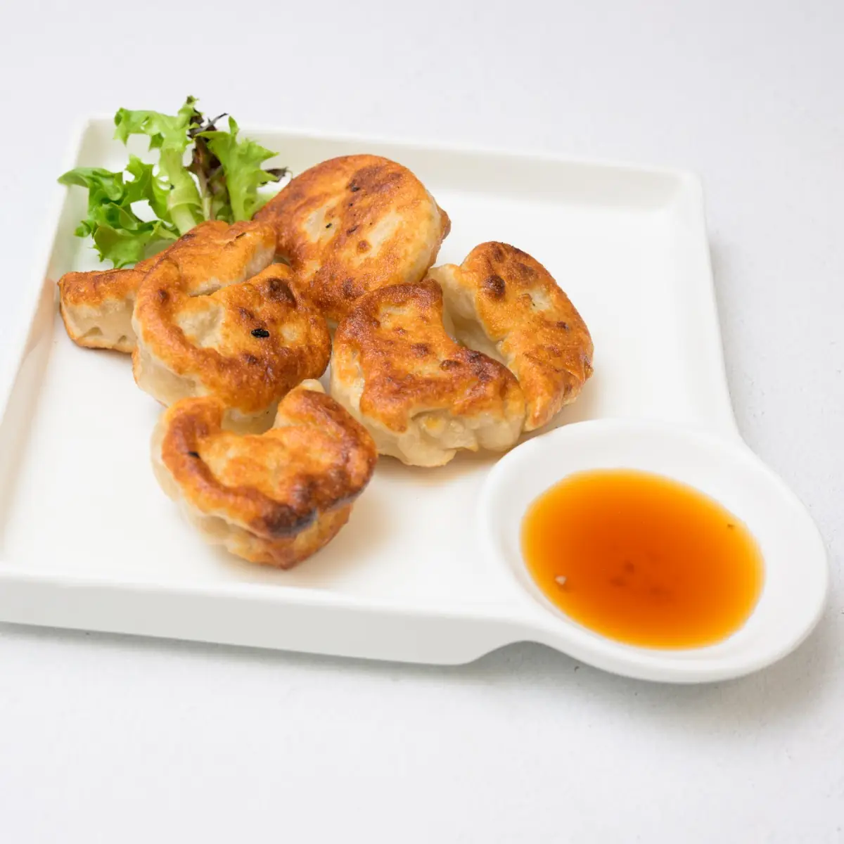 New Pan Fried Chicken Dumpling