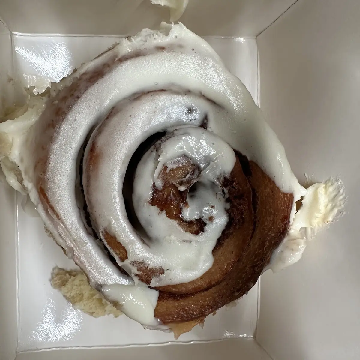Cinnamon Bun