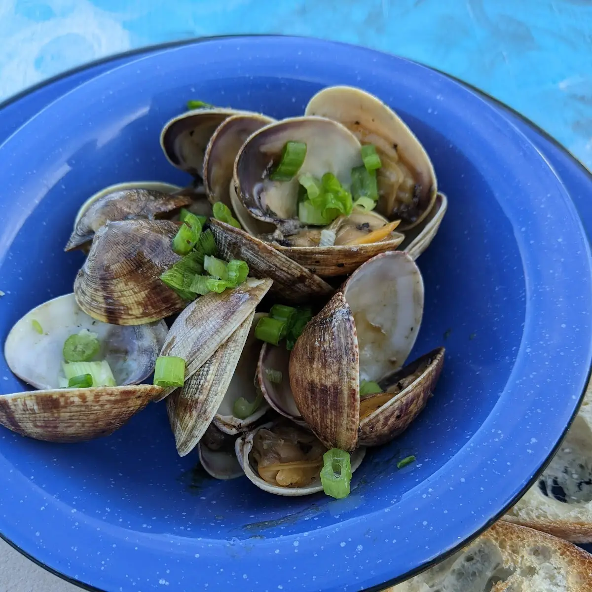 Steamed Clams