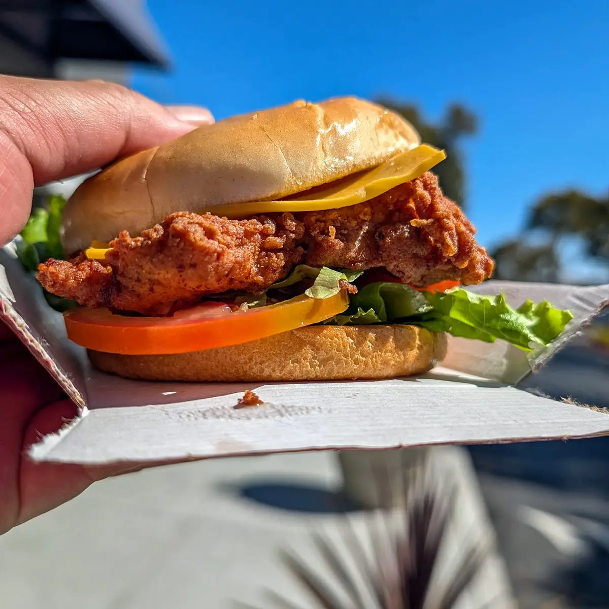 Chicken Sandwich Special
