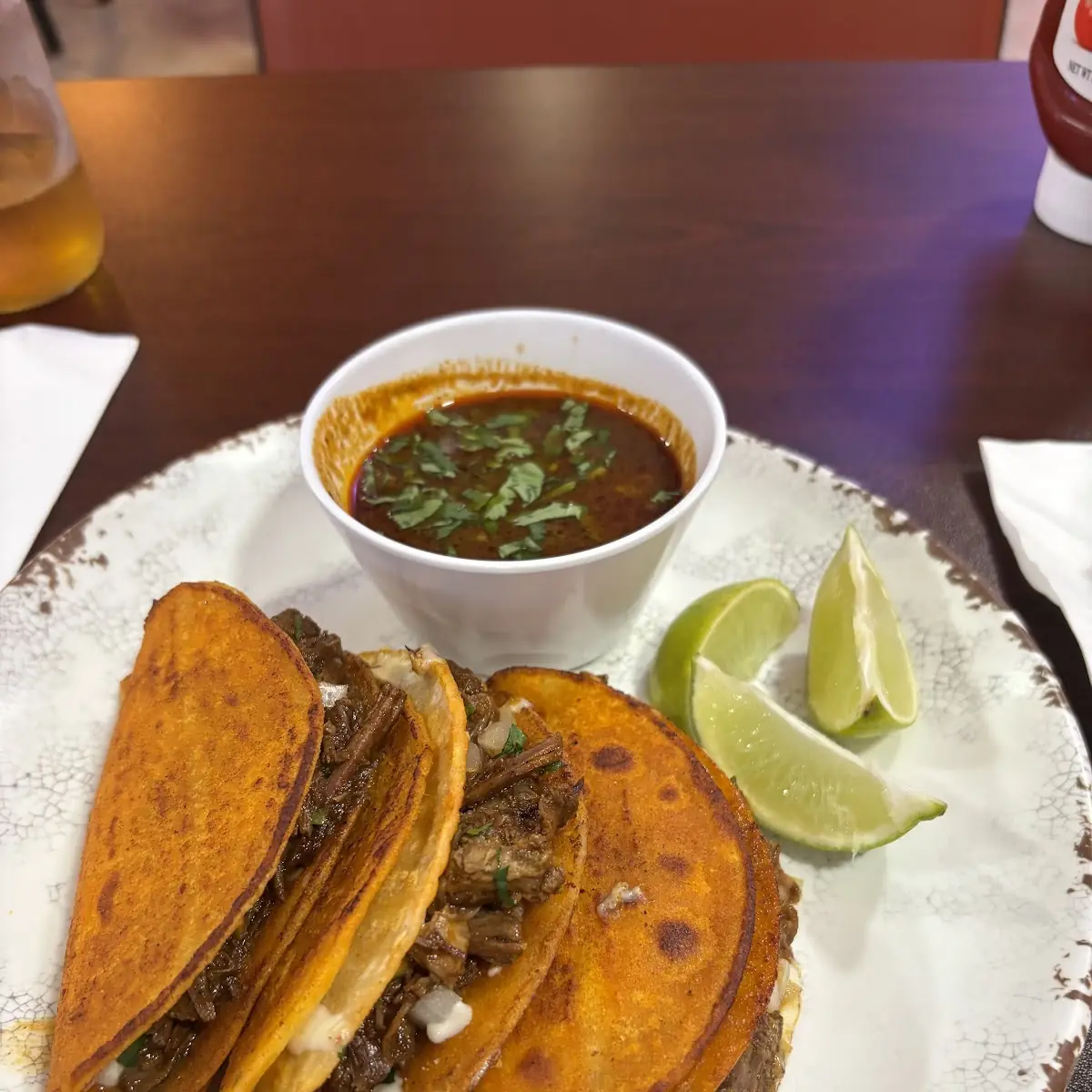Birria Burrito