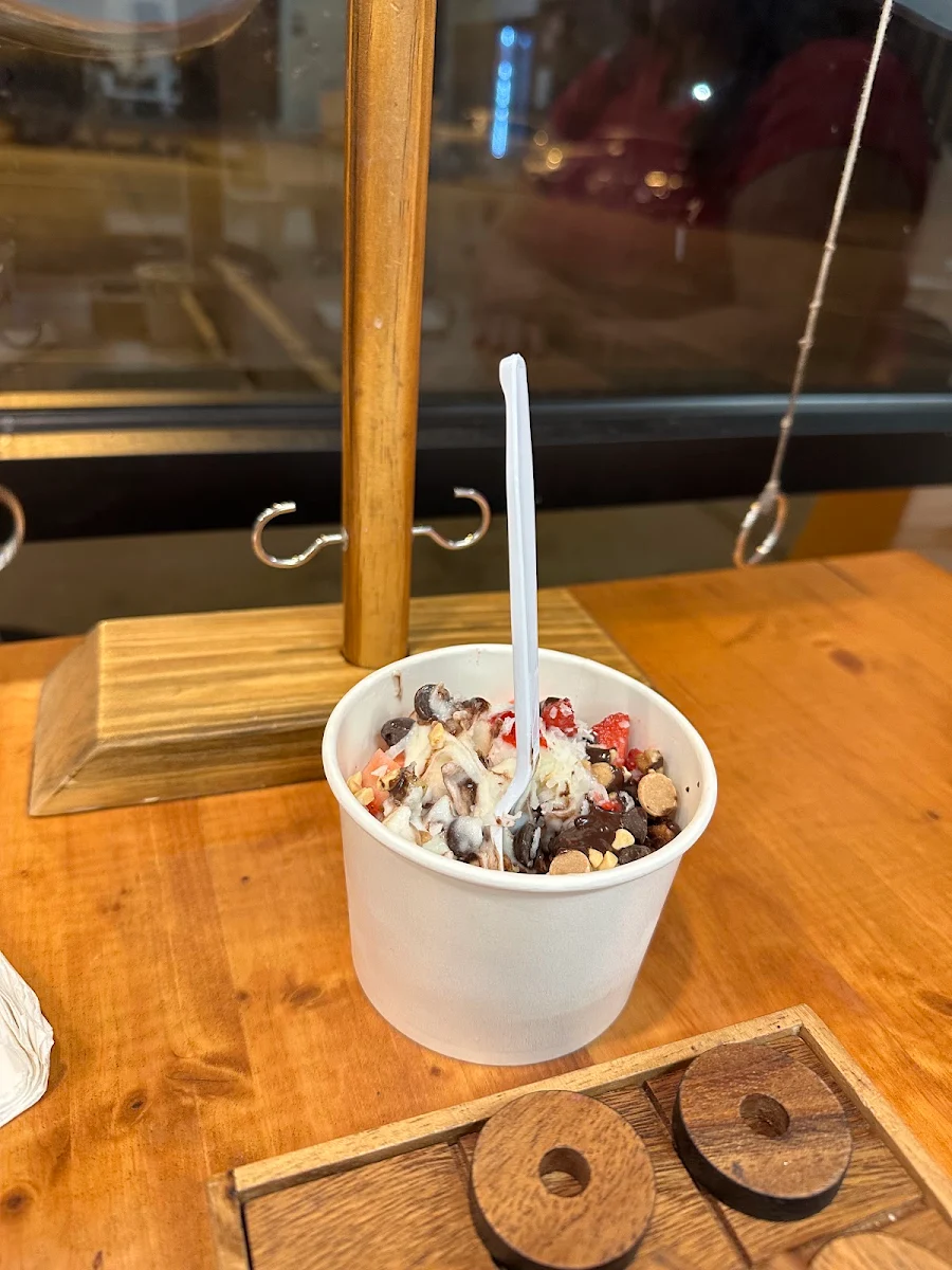 Frozen Yogurt