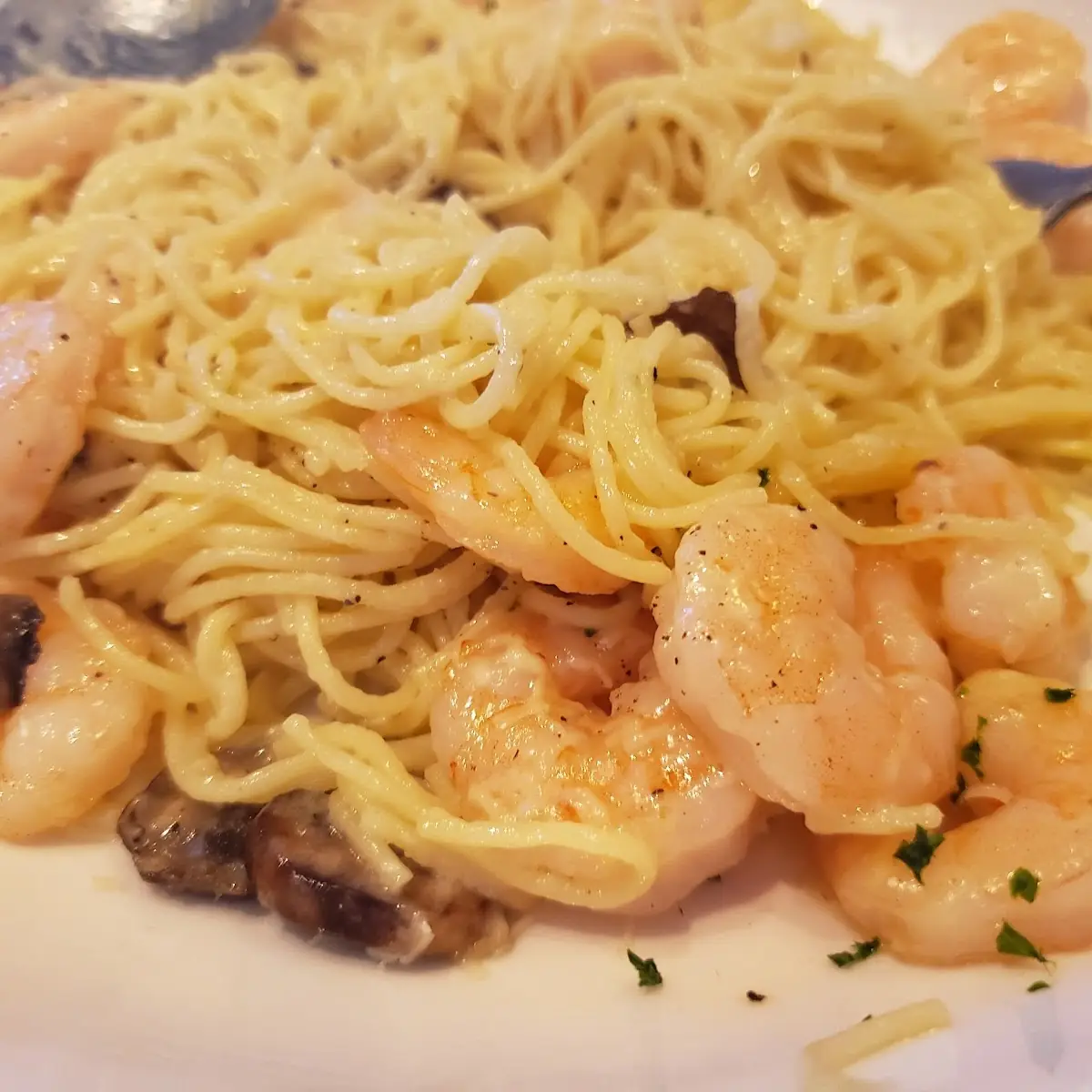 Shrimp Alfredo