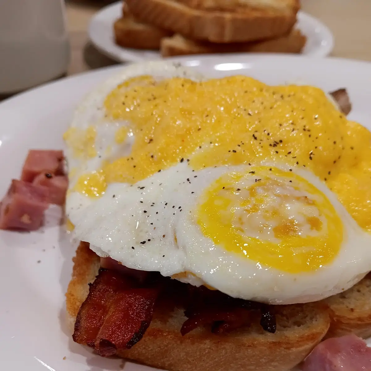 Stuffed Hashbrowns Eggs Benny