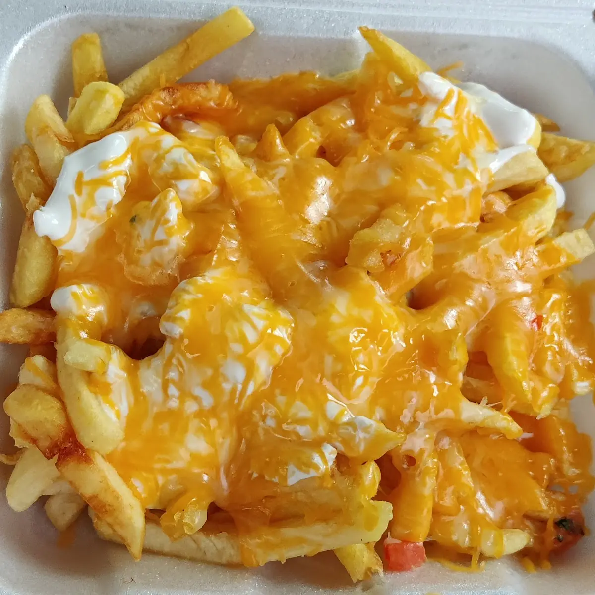 Carne Asada Fries