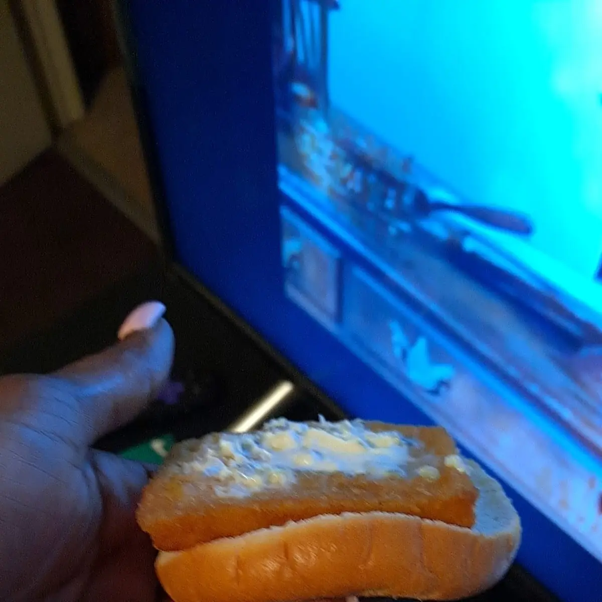 Dehydrated Fish Filet