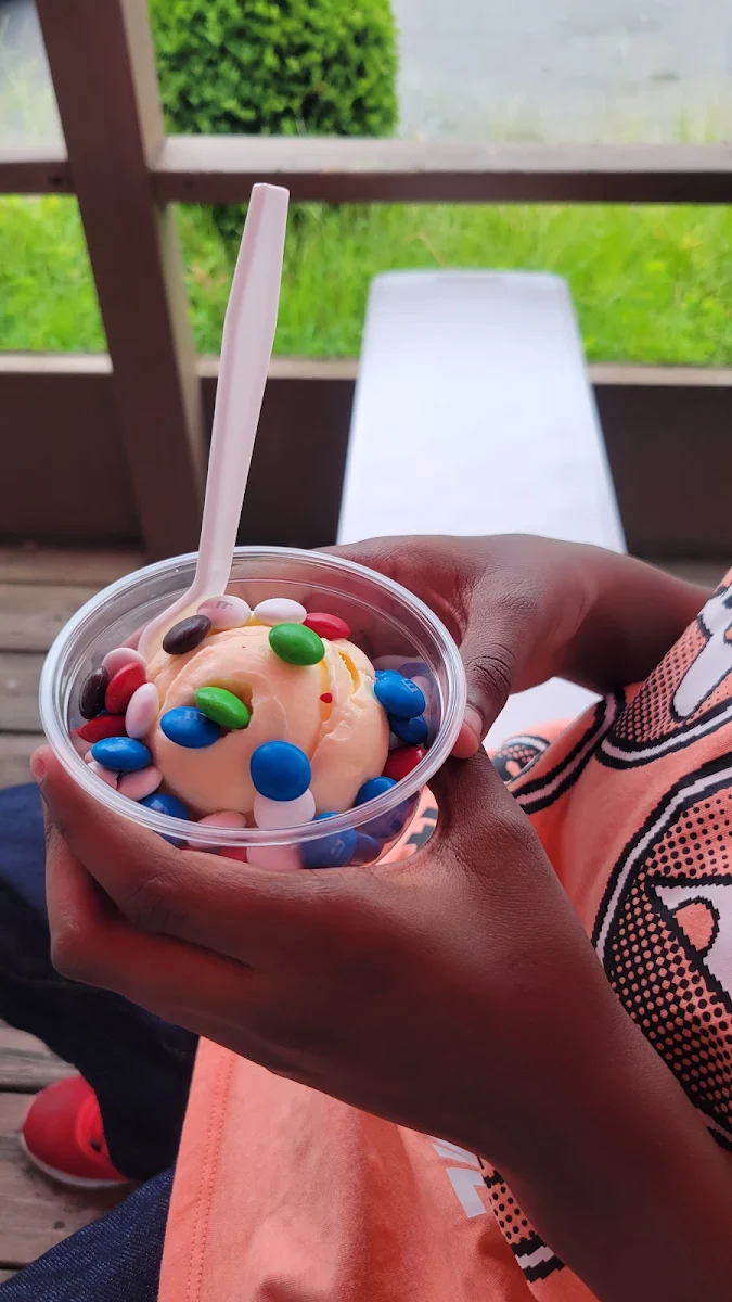 Vanilla Ice Cream with M & M