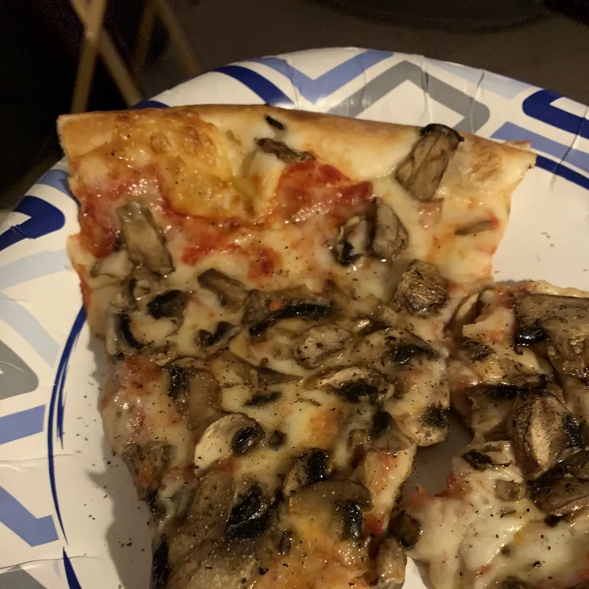 Mushroom Pizza