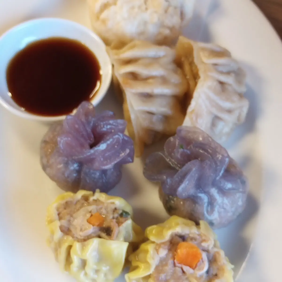 Dim Sum Sampler
