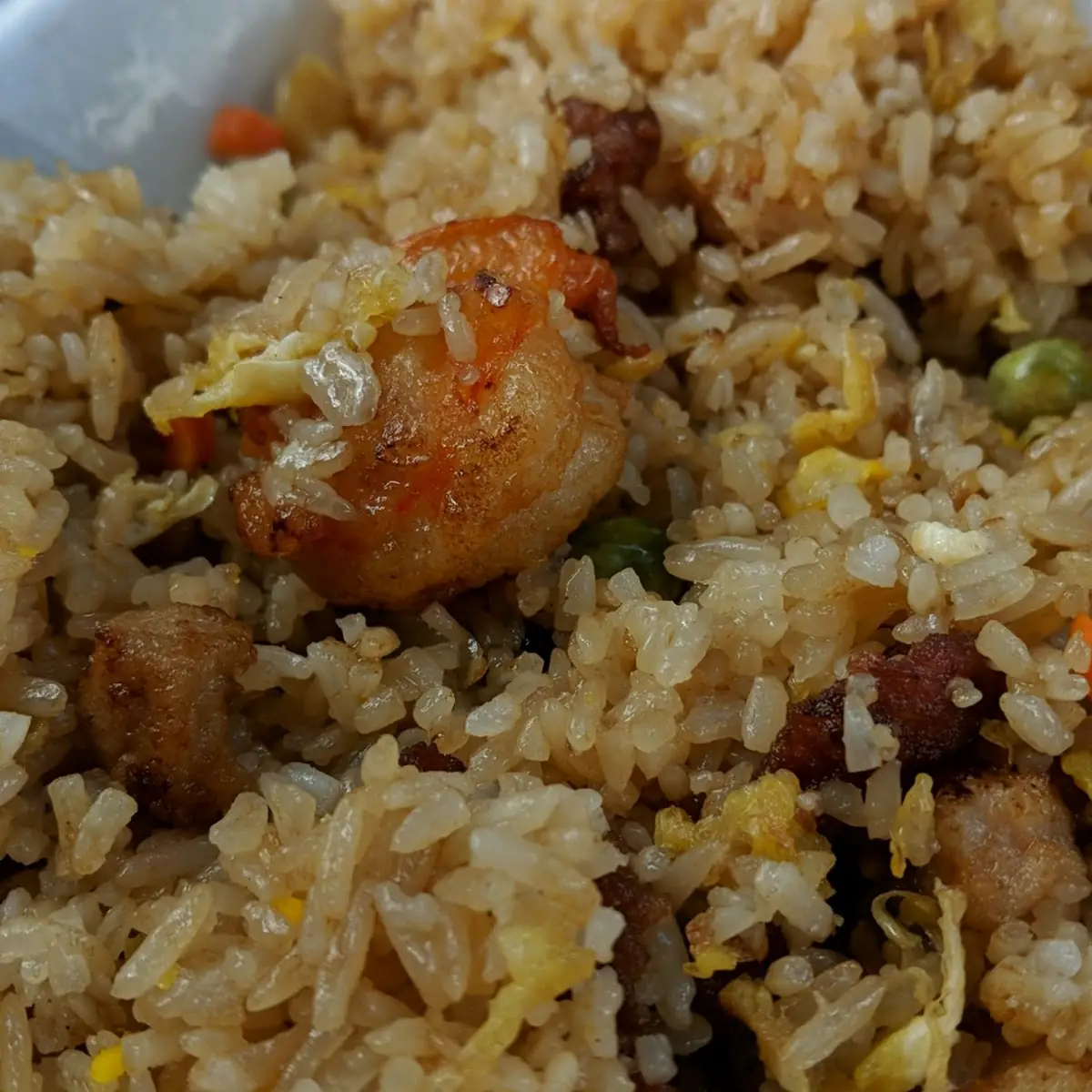 Combo Fried Rice