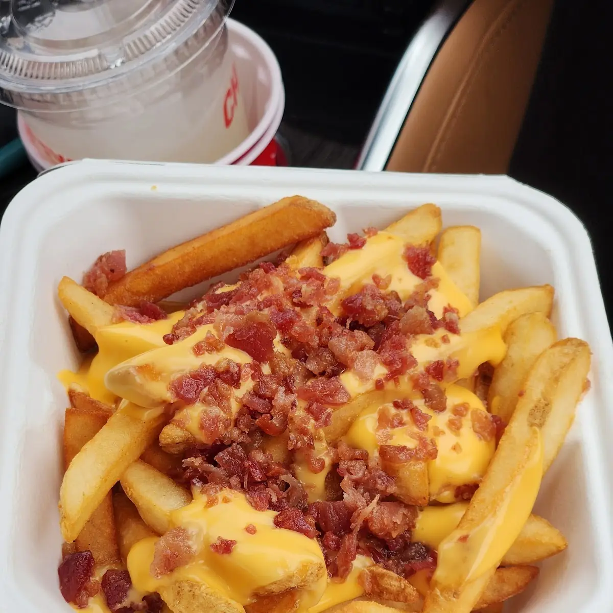 French Fries Bacon and Cheese