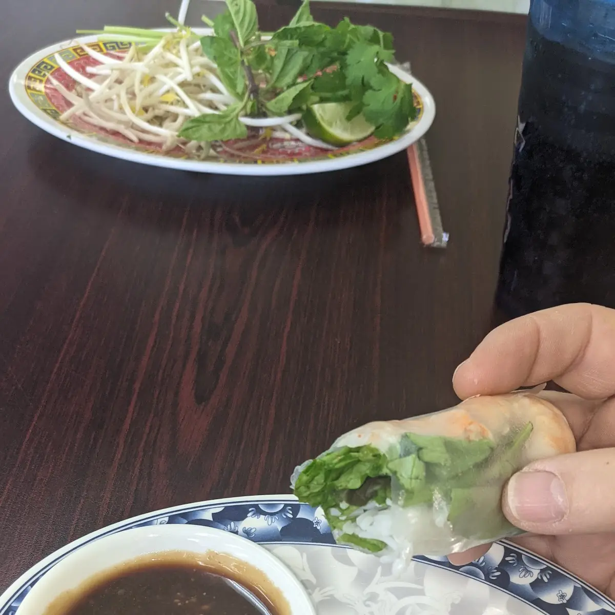 Spring Rolls 2 Goi Cuon
