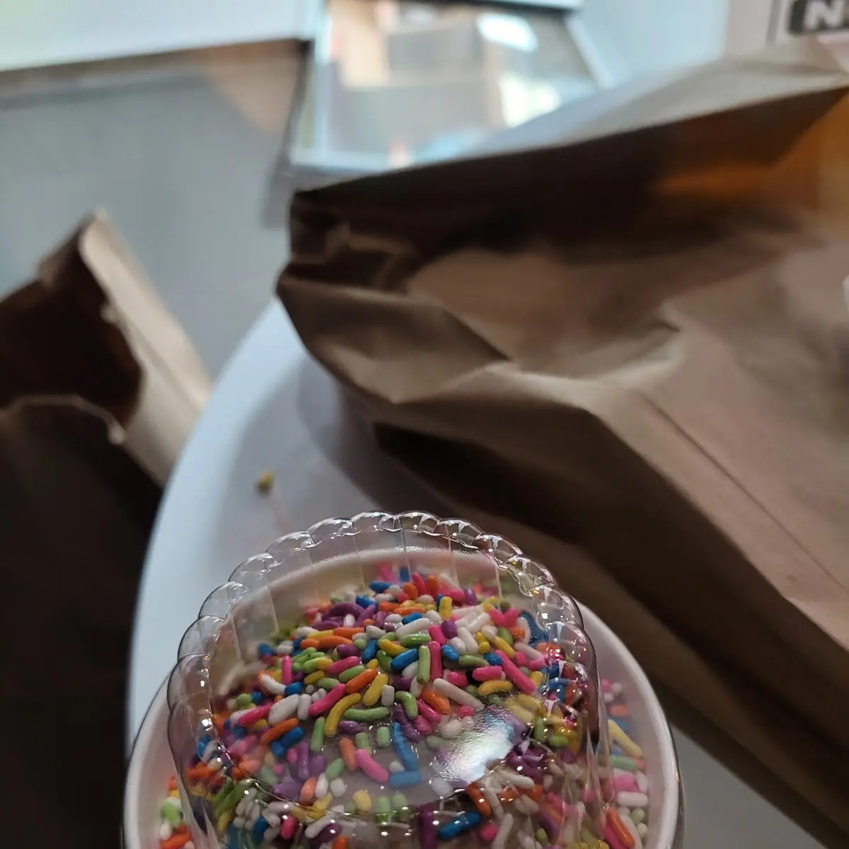 Chocolate Ice Cream with Rainbow Sprinkles