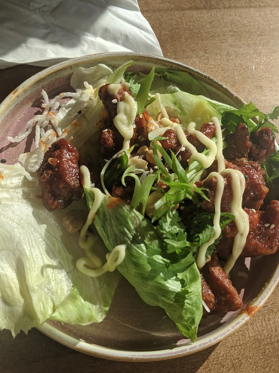 Penang Curry Chicken GF/DF OO