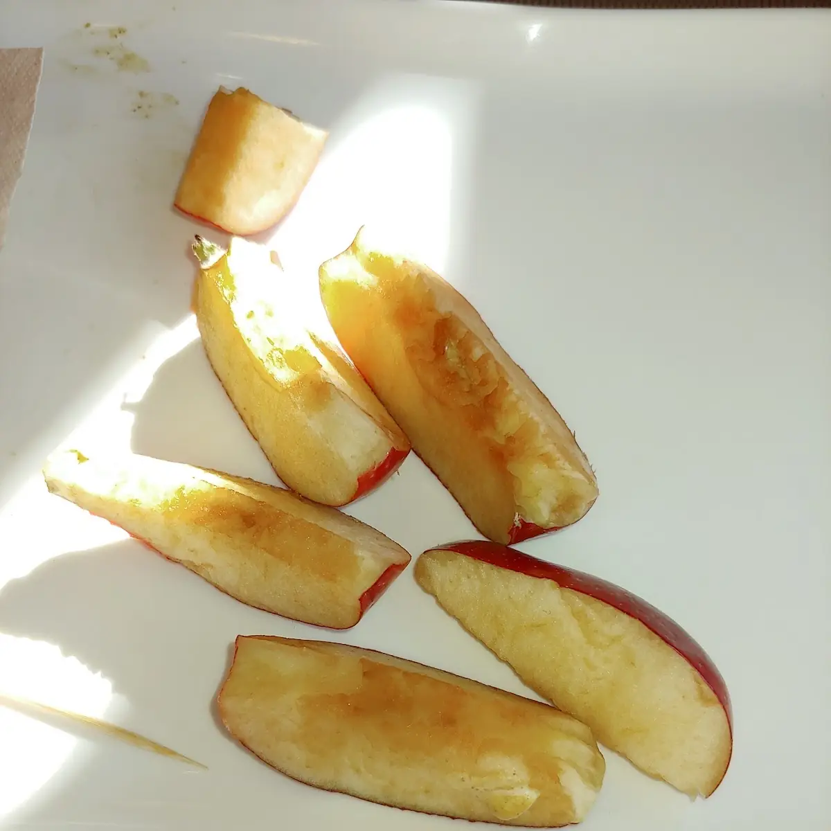 Apple Slices That Came with a Sandwich