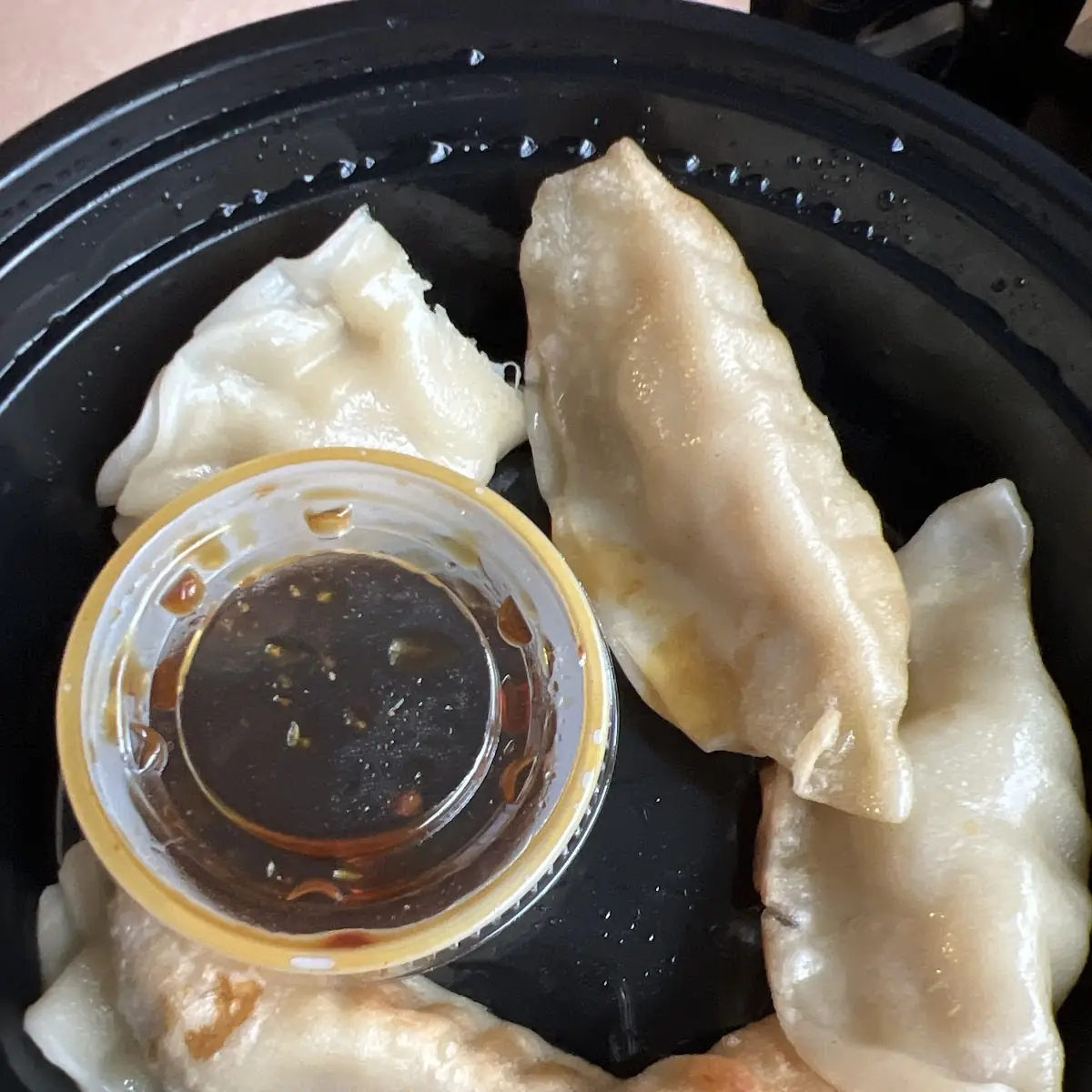 Fried or Steam Dumplings