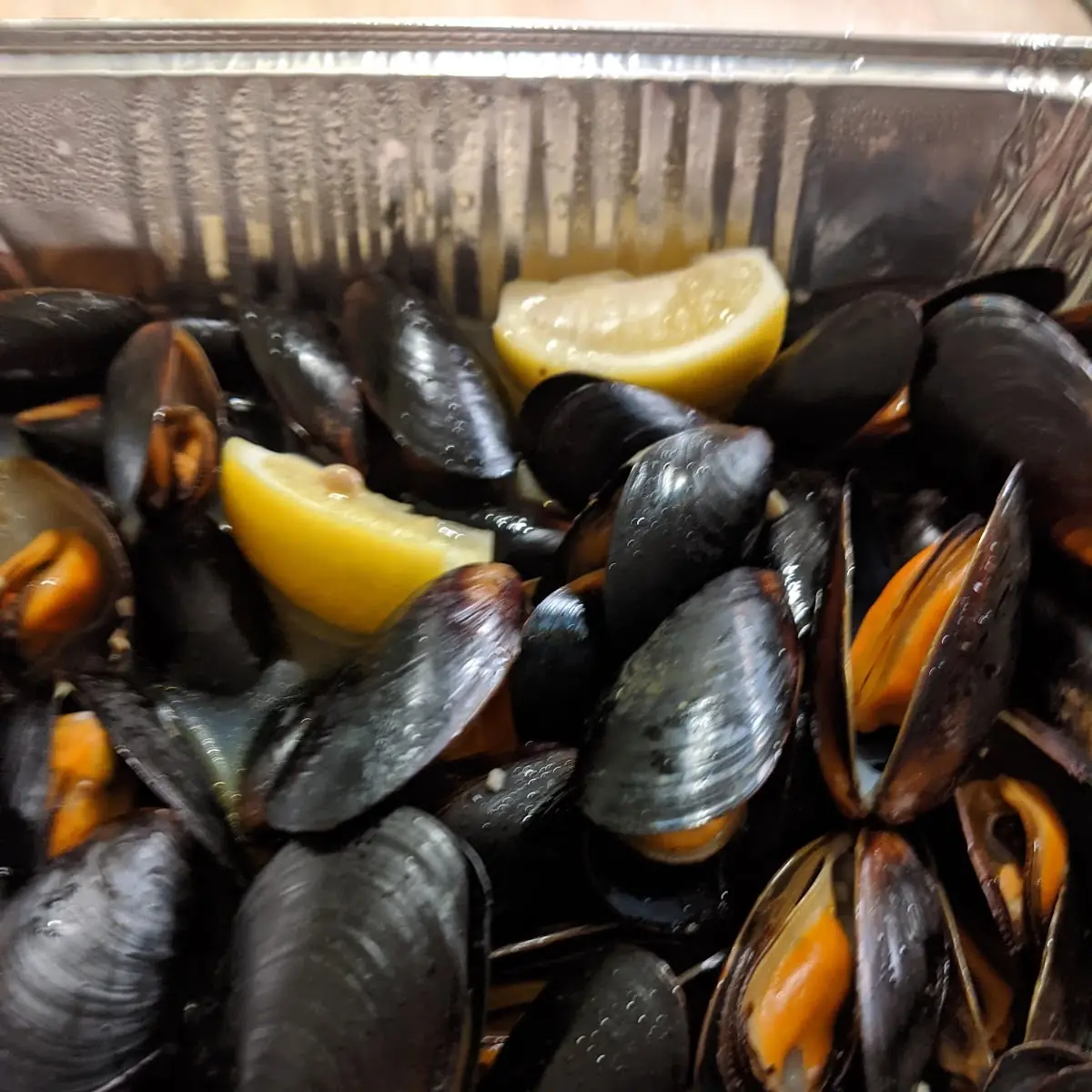 Black Mussels