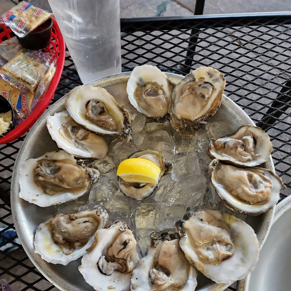 Dozen Raw Oysters on the Half Shell