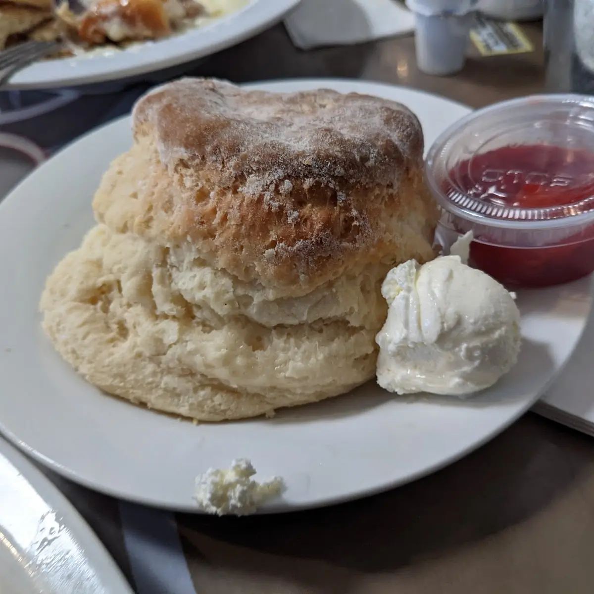 Fried Chicken & Biscuit
