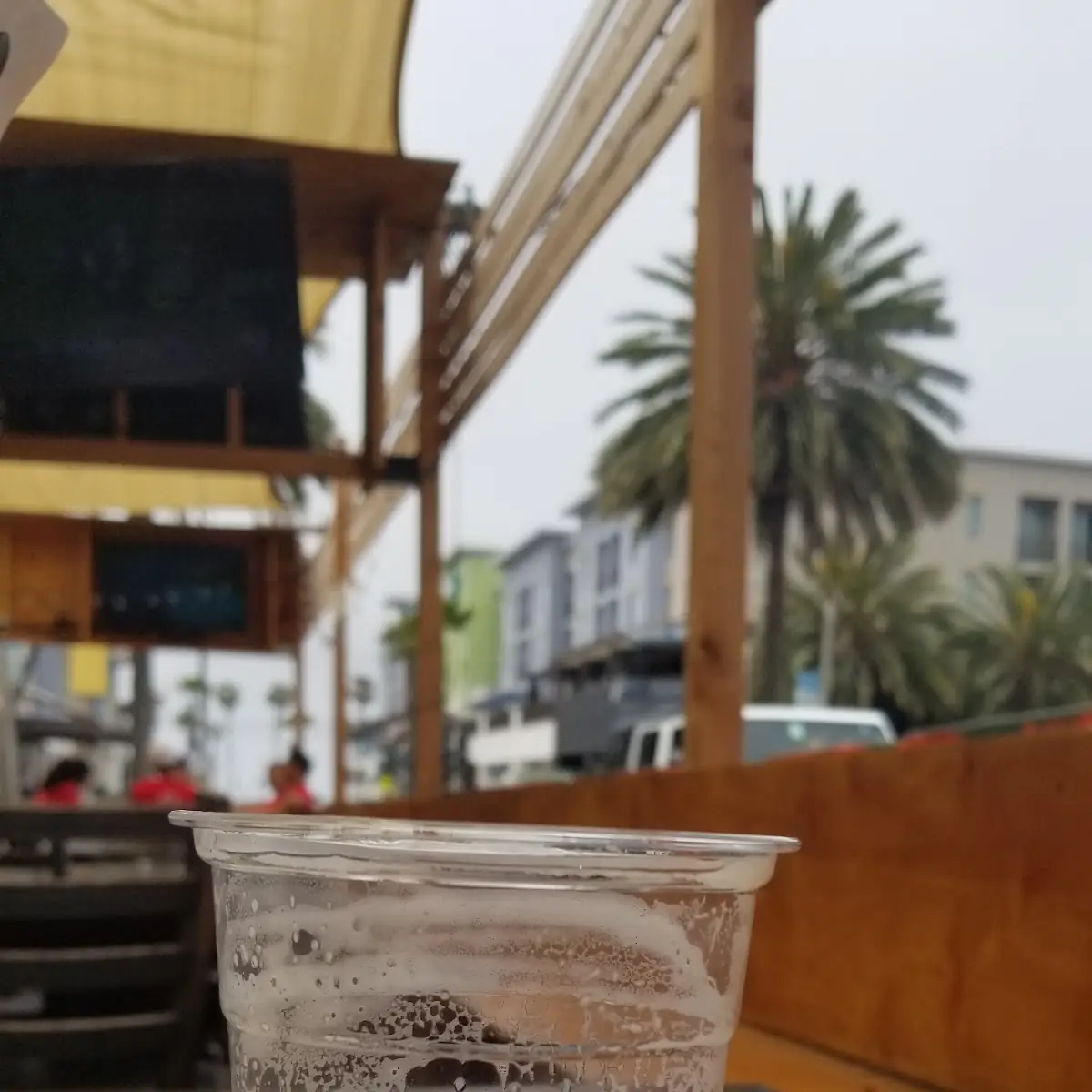 Space Dust IPA