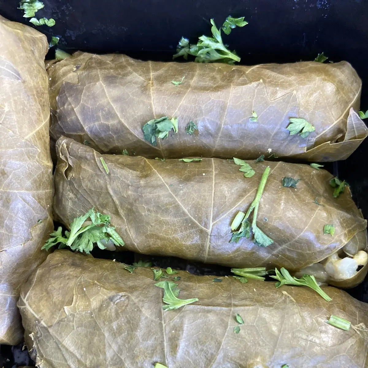 Stuffed Grape Leaves
