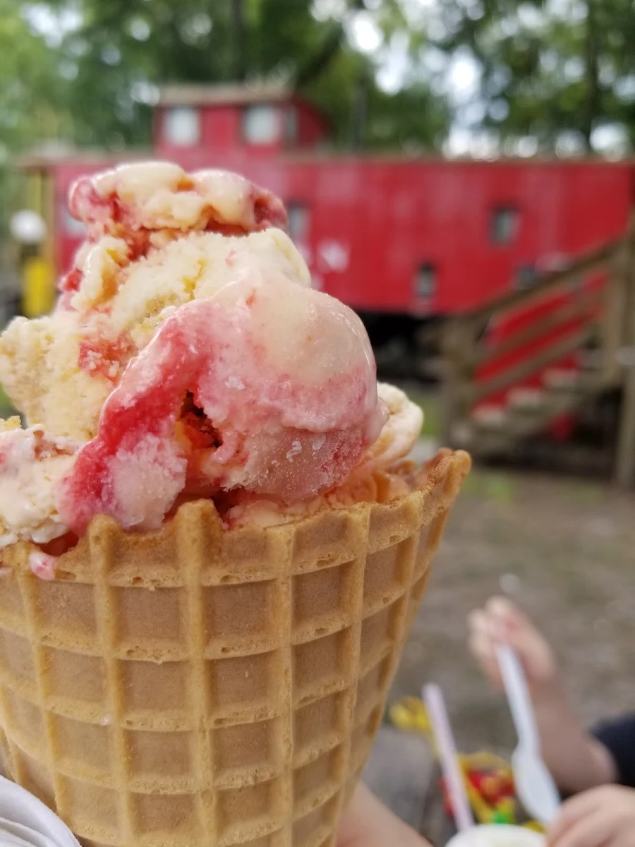 Strawberry Cheesecake Ice Cream Cone