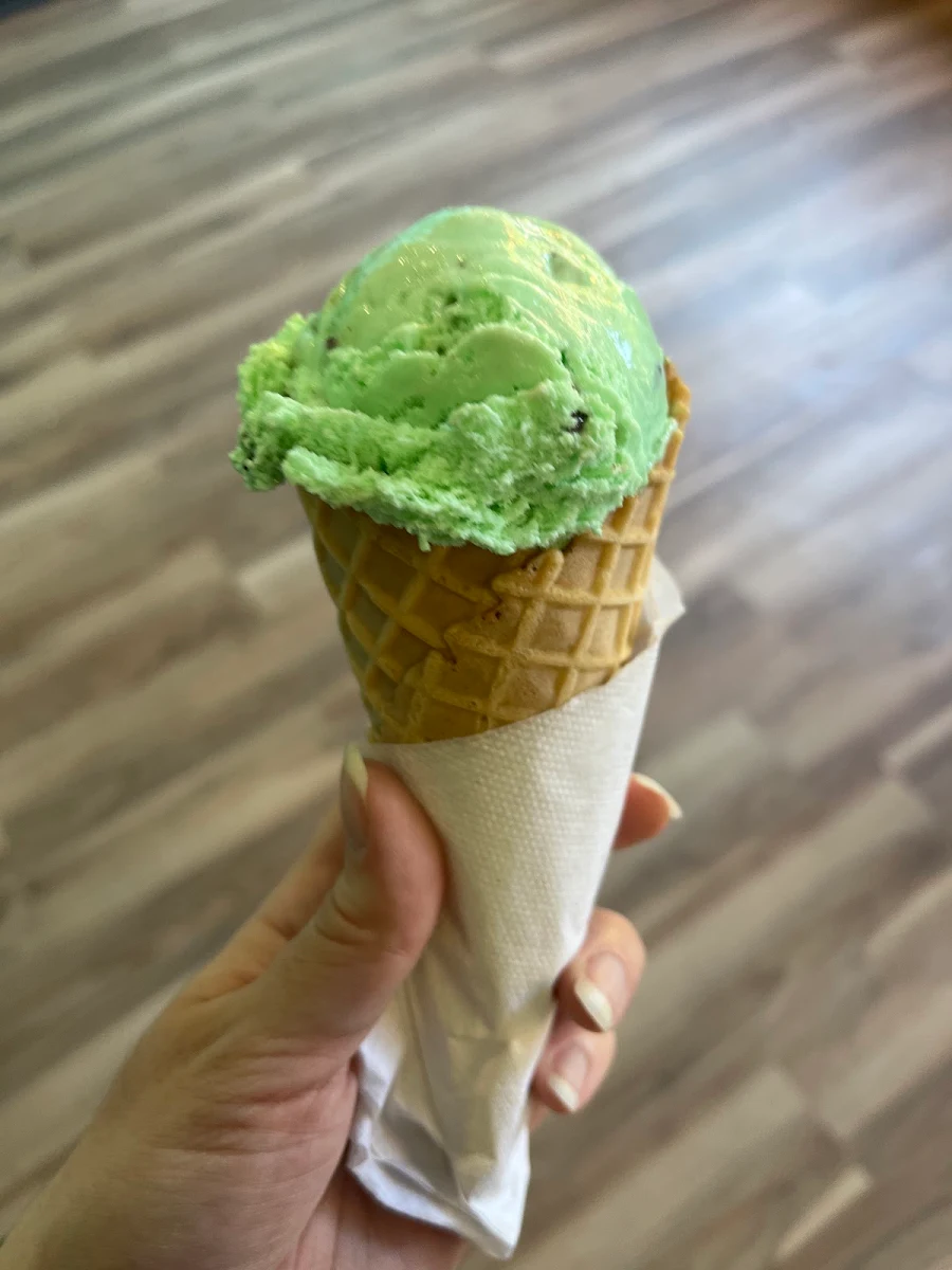 Mint Chocolate Chip Waffle Cone