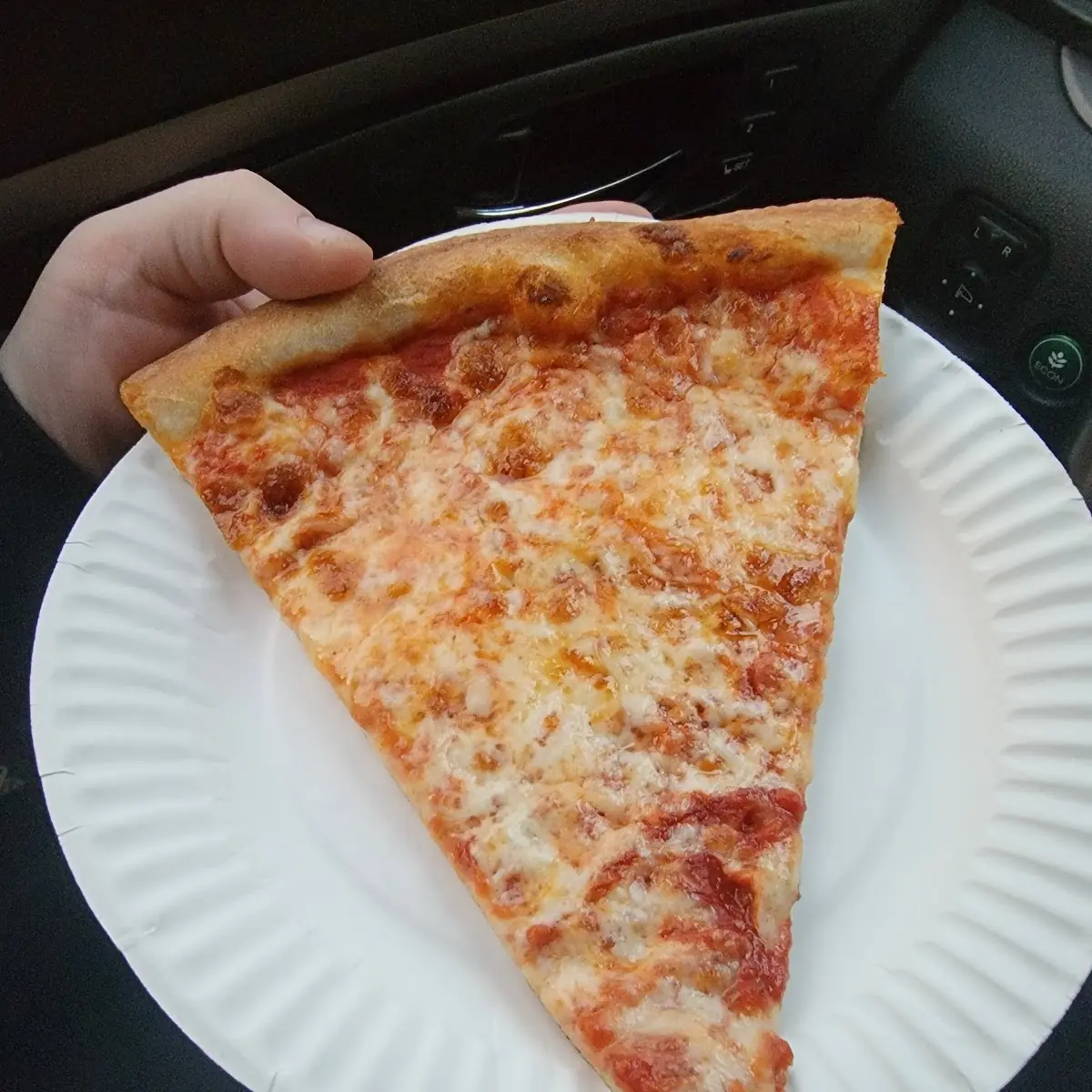 Large Cheese Pizza