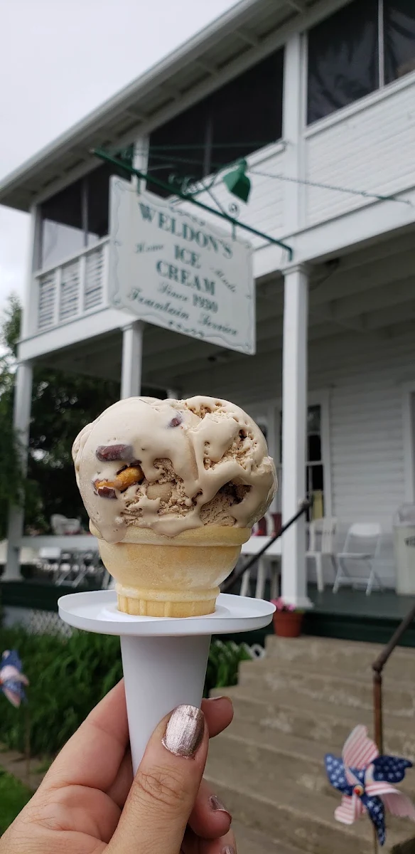 Chocolate and Peanut Butter Ice Cream