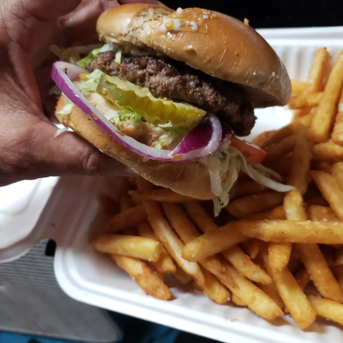 Elk Burger