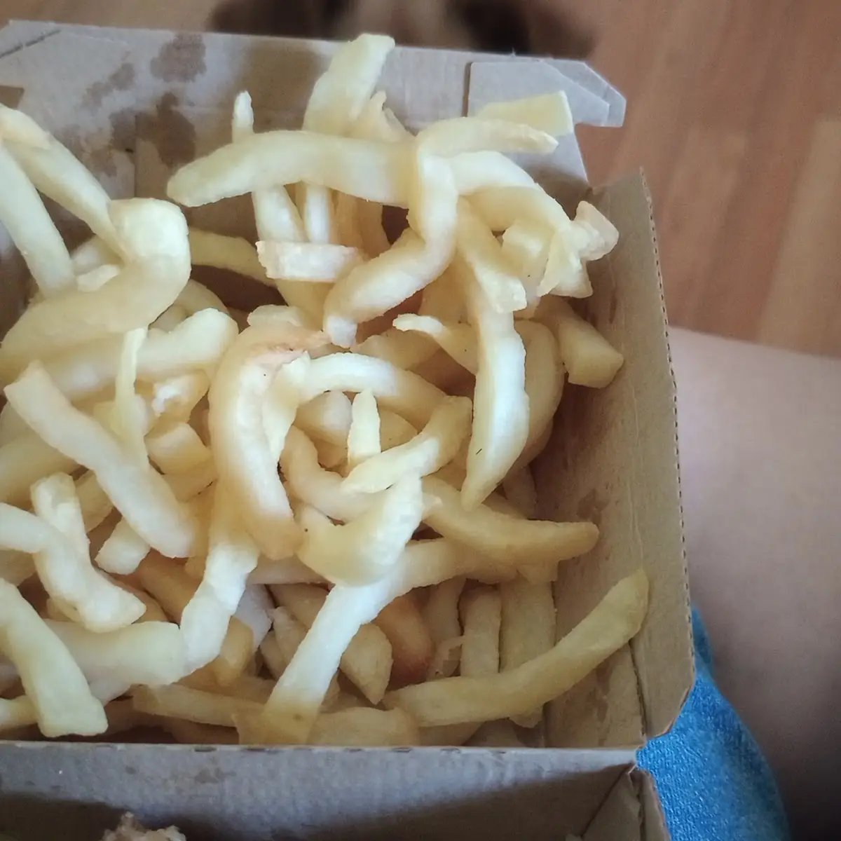 World Famous Fries