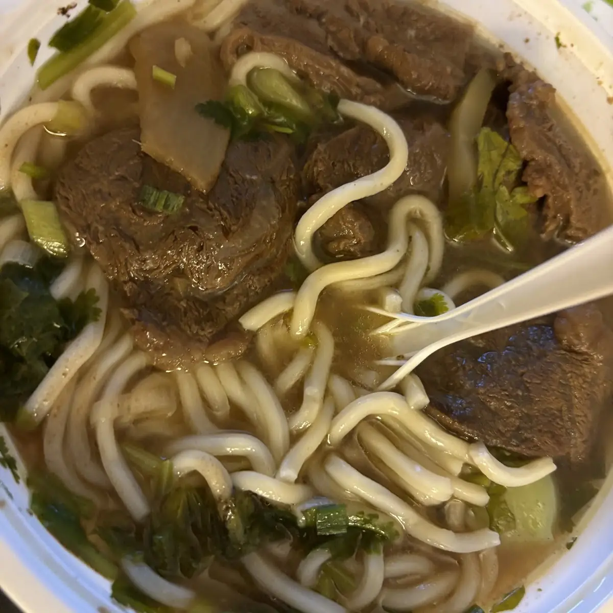 Beef Noodle Soup and Pan Fried Dumplings