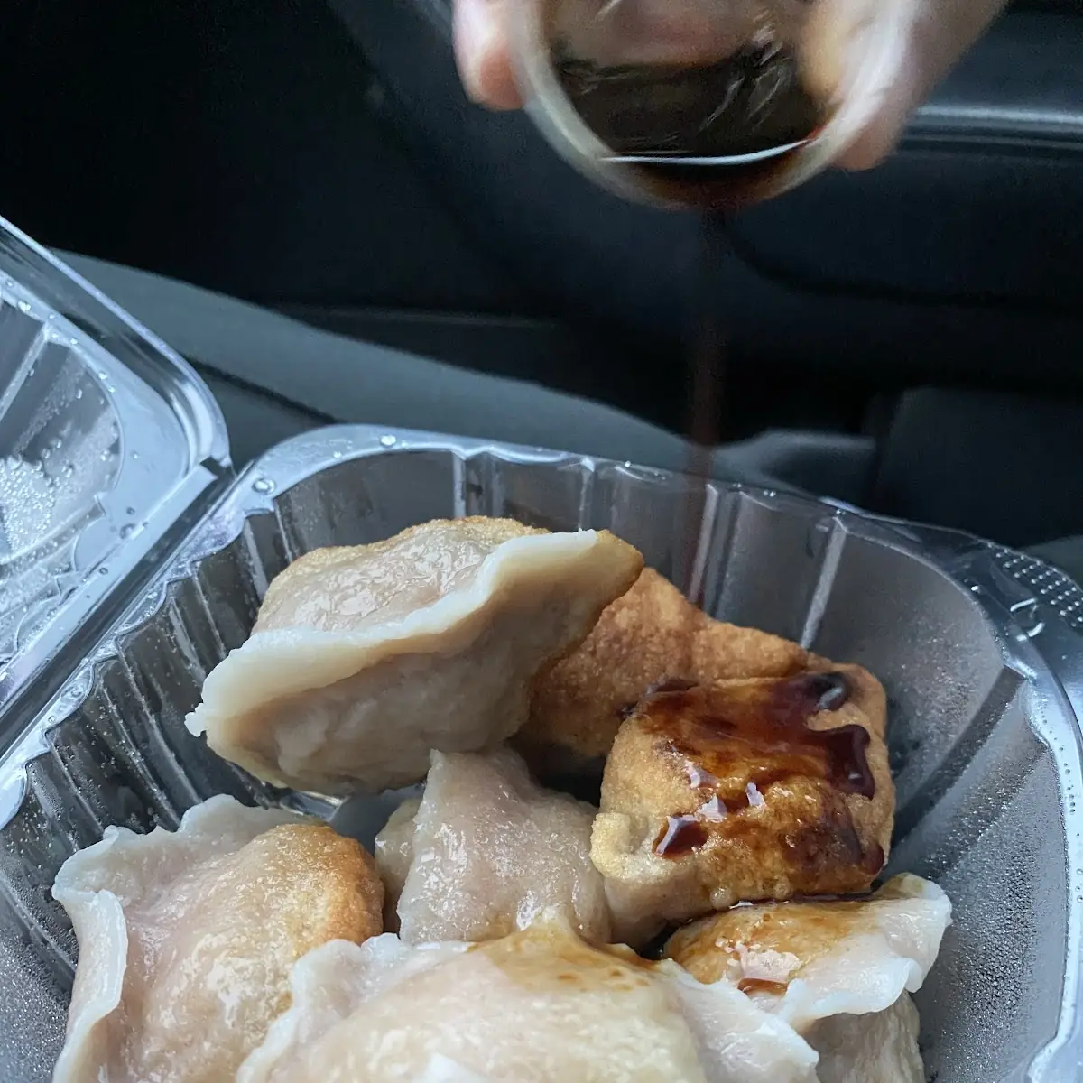 Fried Chicken Dumplings