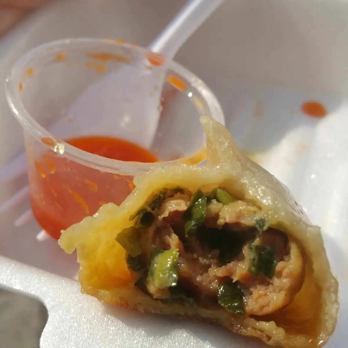 Pork & Chive Fried Dumplings