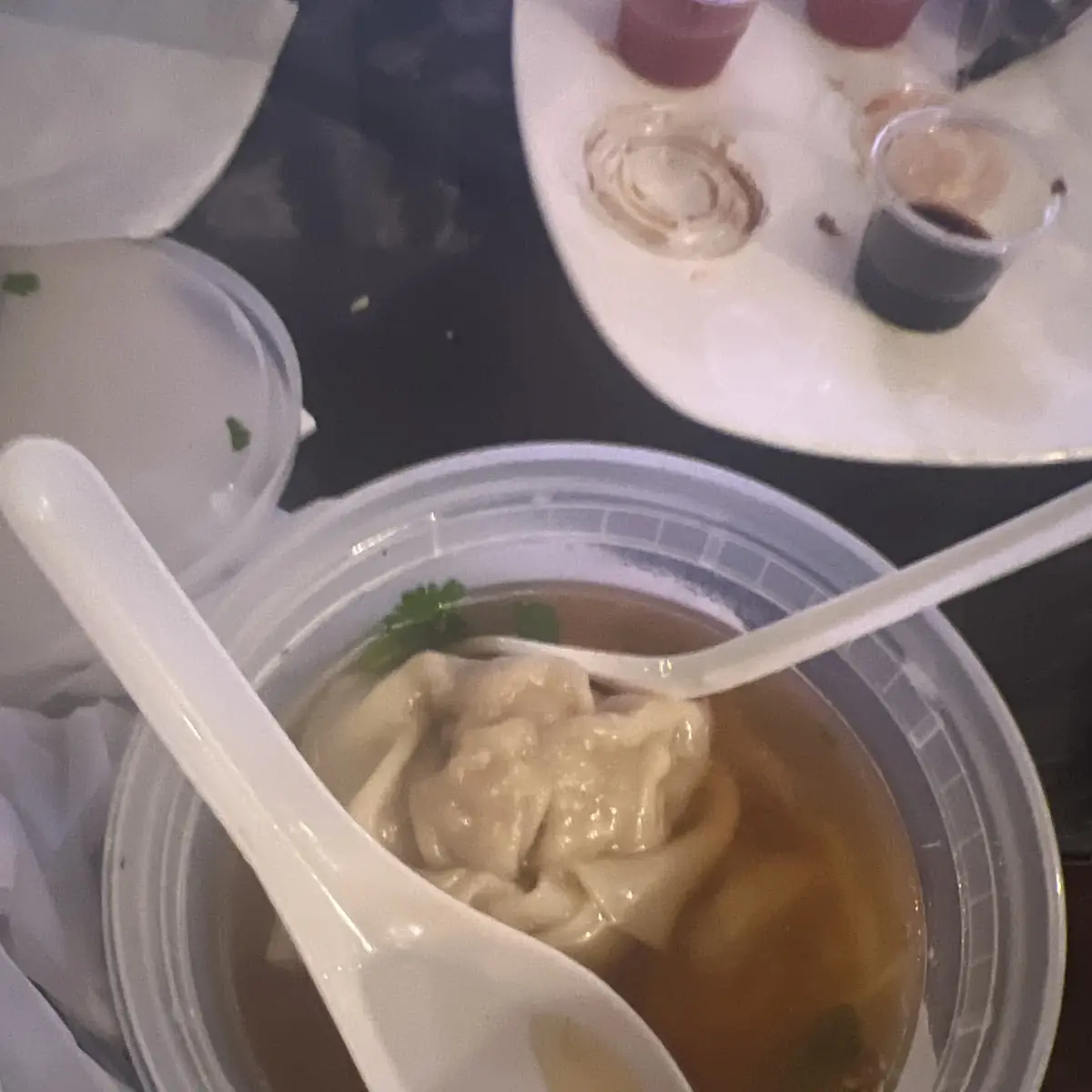 Wonton Soup